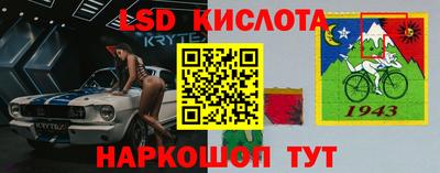 дмт Донецк