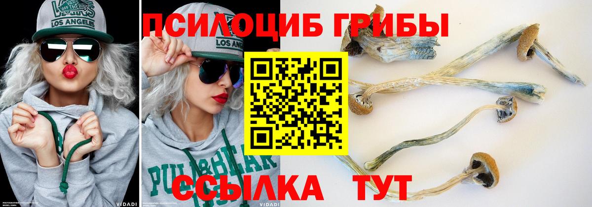 Псилоцибиновые грибы мицелий  Вход с VPN  Миасс 